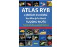Atlas ryb a dalších živočichů korálových útesů Rudého moře - Praktická příručka pro vodní nadšence