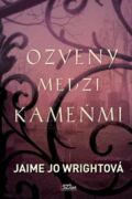 Ozveny medzi kameňmi (e-kniha)