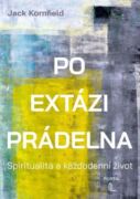 Po extázi prádelna (e-kniha)