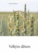 Velkým dětem (e-kniha)