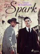 The Spark (e-kniha)
