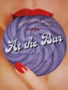 At the Bar - Erotic Short Story (e-kniha)