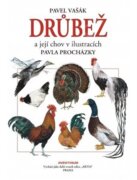 Drůbež a její chov