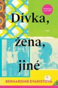 Dívka, žena, jiné (e-kniha)