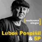 Soukromá elegie - CD