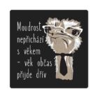 Pánské tričko - Moudrost nepřichází s věkem, vel. M