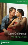 Ve stínu And (e-kniha)