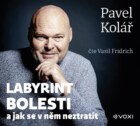 Labyrint bolesti (audiokniha)