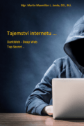 Tajemství internetu (e-kniha)