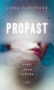 Propast (e-kniha)