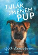 Tulák jménem Pup (e-kniha)