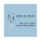 Pánské tričko - Můžu se mýlit, vel. XXL