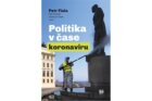Politika v čase koronaviru - Předběžná analýza