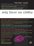 Můj život na ch@tu