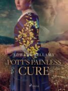 Pott's Painless Cure (e-kniha)