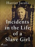 Incidents in the Life of a Slave Girl (e-kniha)