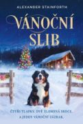 Vánoční slib (e-kniha)