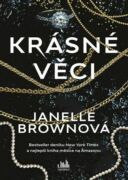 Krásné věci (e-kniha)