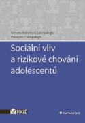 Sociální vliv a rizikové chování adolescentů (e-kniha)