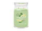 YANKEE CANDLE Vanilla Lime svíčka 567g / 2 knoty (Signature velký)