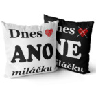 Polštář Dnes ano (ne)