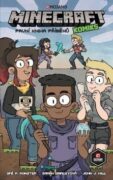 Minecraft komiks První kniha příběhů