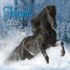 Kalendář 2026 Koně, nástěnný, 33 x 33 cm
