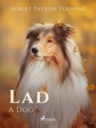 Lad: A Dog (e-kniha)