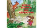 Velké dobrodružství malého zajíčka / Little Bunny´s Big Adventure
