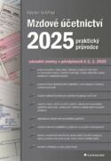 Mzdové účetnictví 2025 (e-kniha)