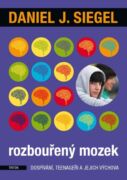Rozbouřený mozek (e-kniha)