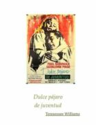 Dulce pajaro de juventud (e-kniha)