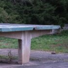 Close To Silence (CD)