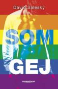 Som gej (e-kniha)