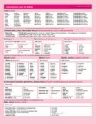 Grammatica ceca in pillole / Česká gramatika v kostce – italská verze