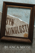 Syn minulosti (e-kniha)