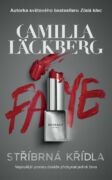 Stříbrná křídla (e-kniha)