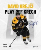 David Krejčí - Play off Krech