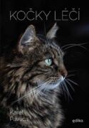 Kočky léčí (e-kniha)