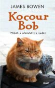 Kocour Bob (e-kniha)