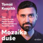 Mozaika duše (audiokniha) - Desatero pro zdravější duši a vztahy