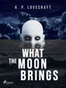 What the Moon Brings (e-kniha)