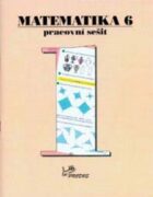 Matematika 6 Pracovní sešit 1