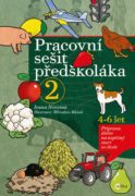 Pracovní sešit předškoláka 2 - Příprava dítěte na úspěšný start ve škole