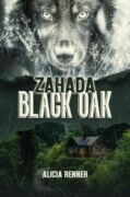 Záhada Black Oak (e-kniha)