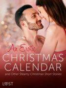 An Erotic Christmas Calendar and Other Steamy Christmas Short Stories (e-kniha)