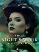 A Dark Night's Work (e-kniha)