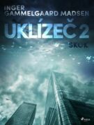 Uklízeč 2: Skok (e-kniha)
