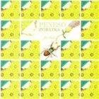 Zvířátka – pexeso