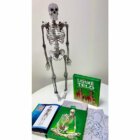 LIDSKÉ TĚLO - 3D MODEL - Zábavná encyklopedie - čti! uč se! a skládej!